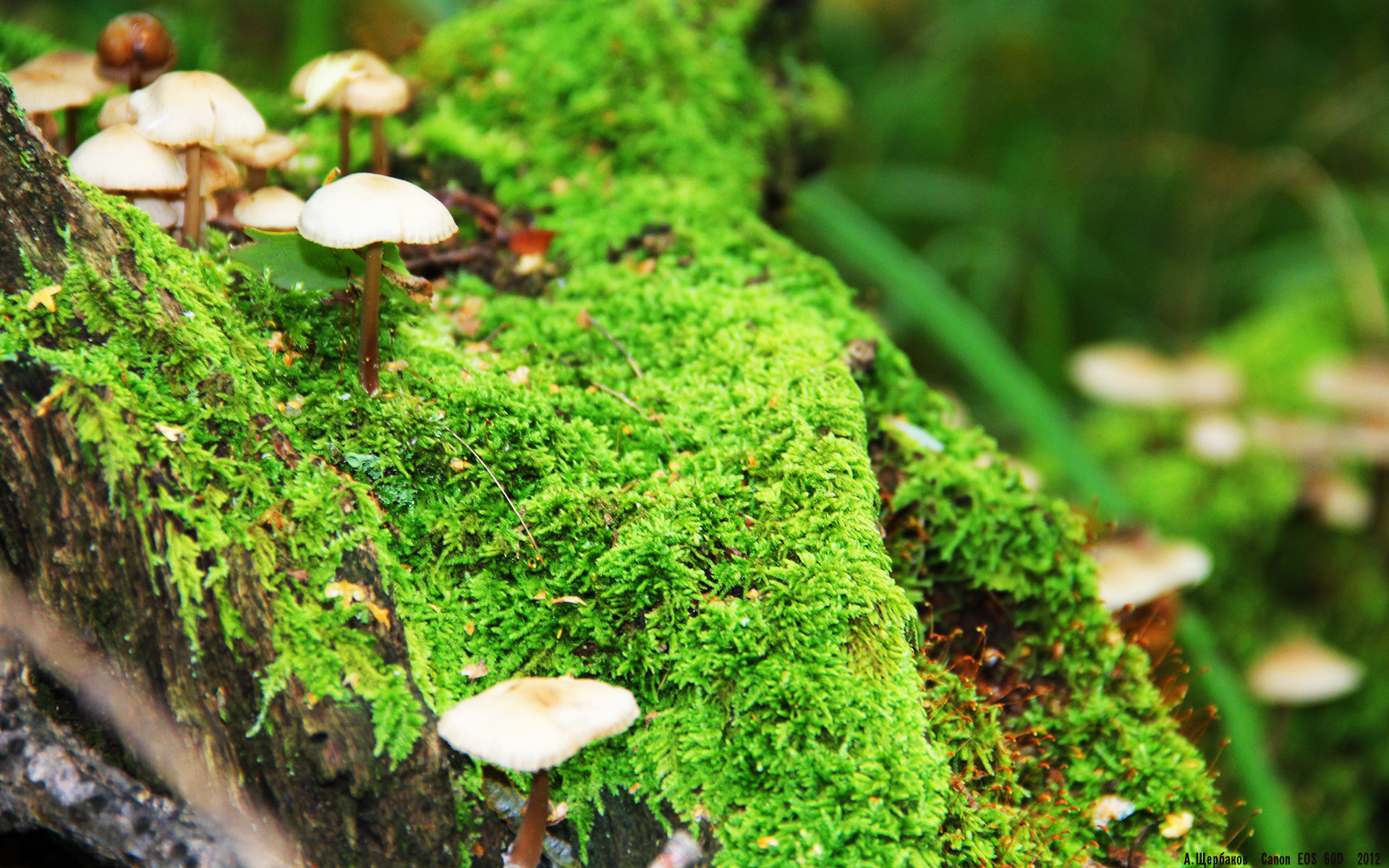 开云网址-“中国足球培训计划扩大，妇女足球迎来新机遇”，中国足球协会女足官网