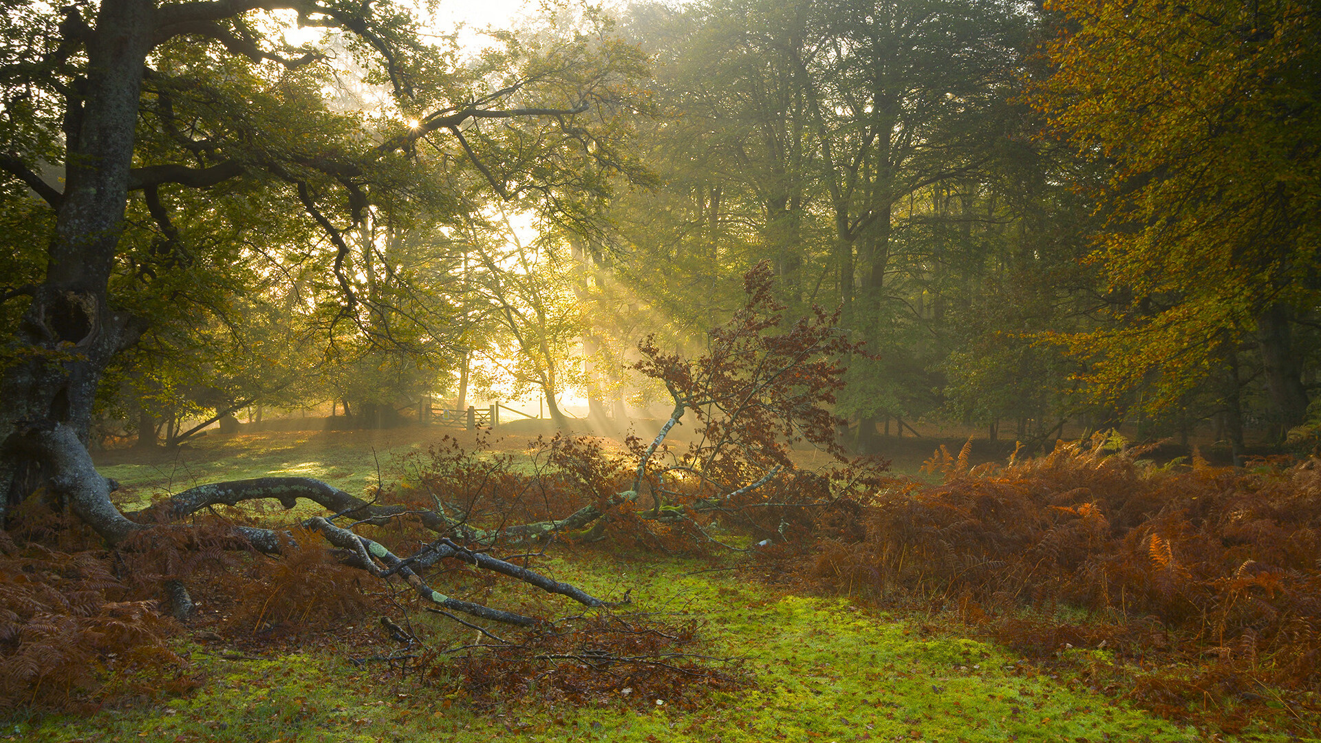 开云体育APP下载-《电竟行业新兴职业：战队管理与赛事策划》，电竞战队选拔